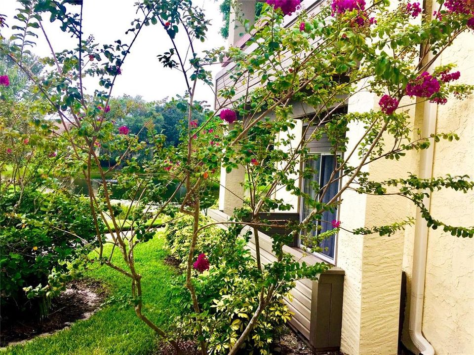 В аренду: $1,575 (1 спален, 1 ванн, 742 Квадратных фут)