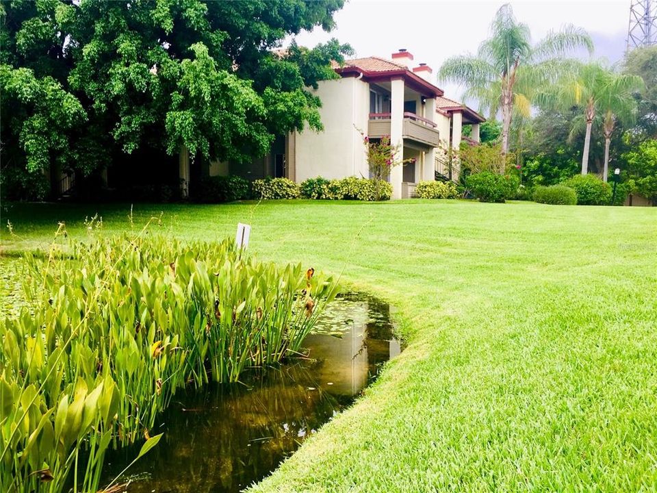 В аренду: $1,575 (1 спален, 1 ванн, 742 Квадратных фут)