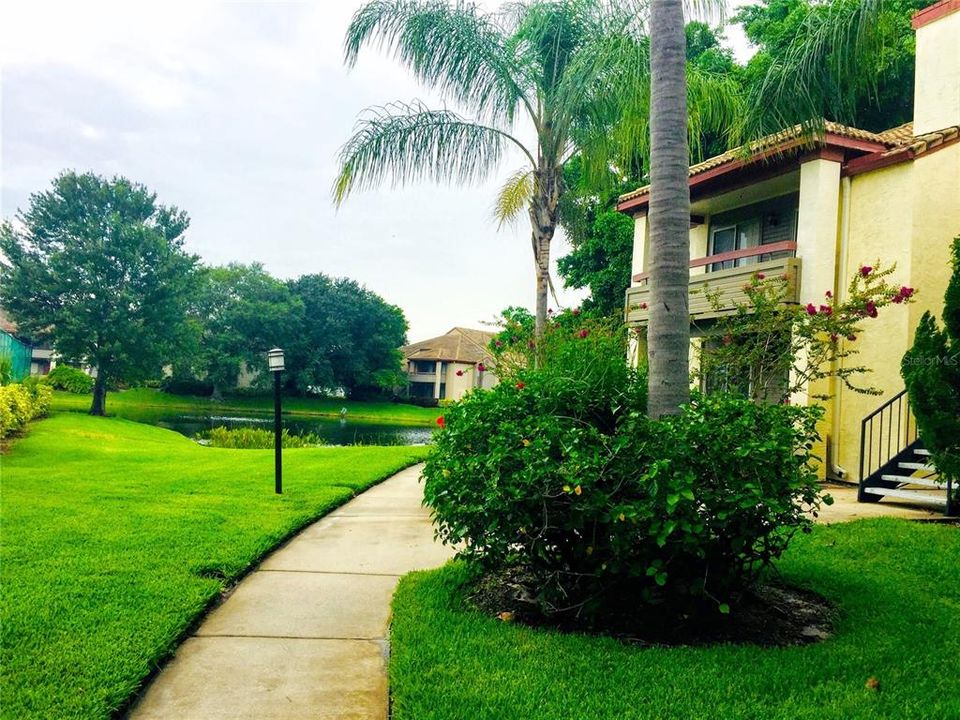 В аренду: $1,575 (1 спален, 1 ванн, 742 Квадратных фут)