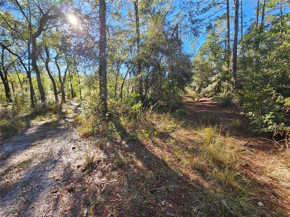 For Sale: $35,000 (0.30 acres)