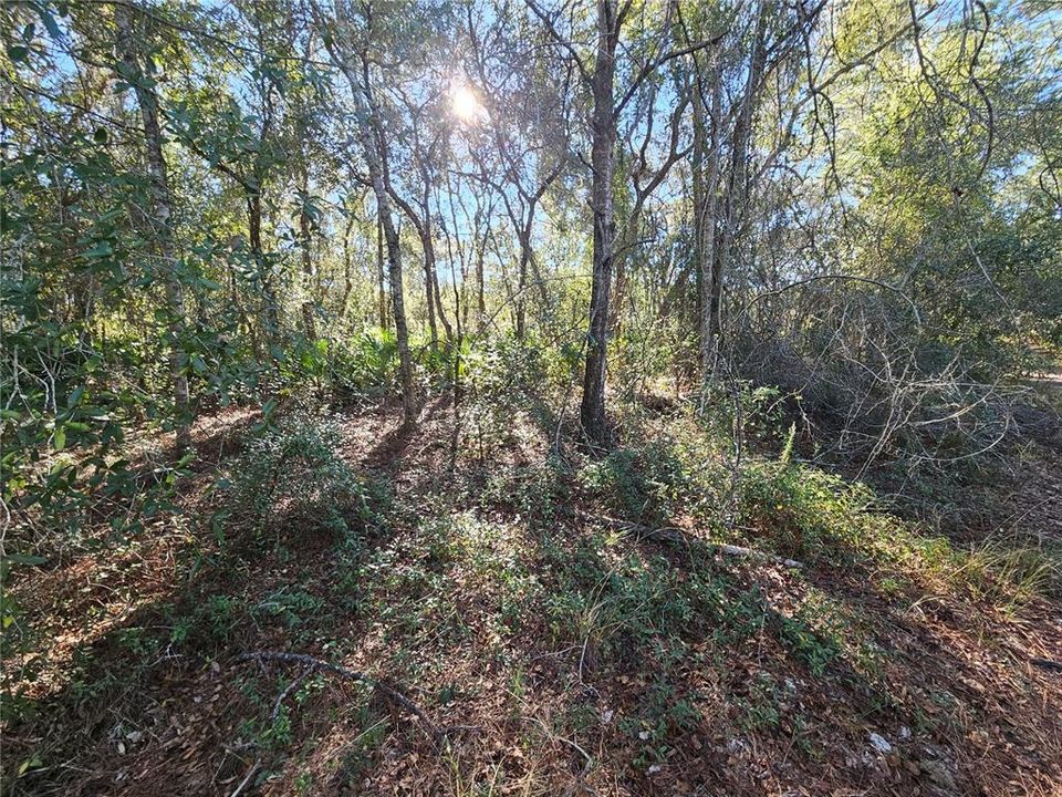 For Sale: $35,000 (0.30 acres)