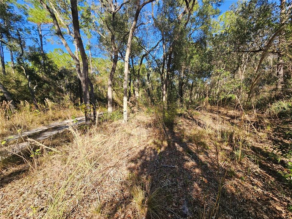 For Sale: $35,000 (0.30 acres)