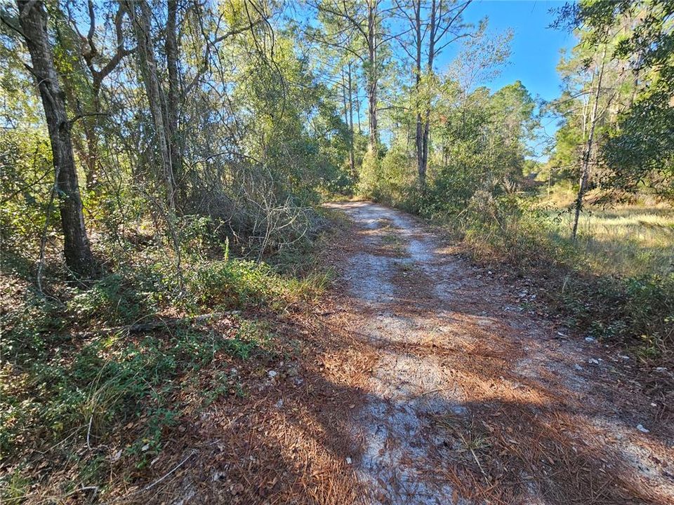 For Sale: $35,000 (0.30 acres)