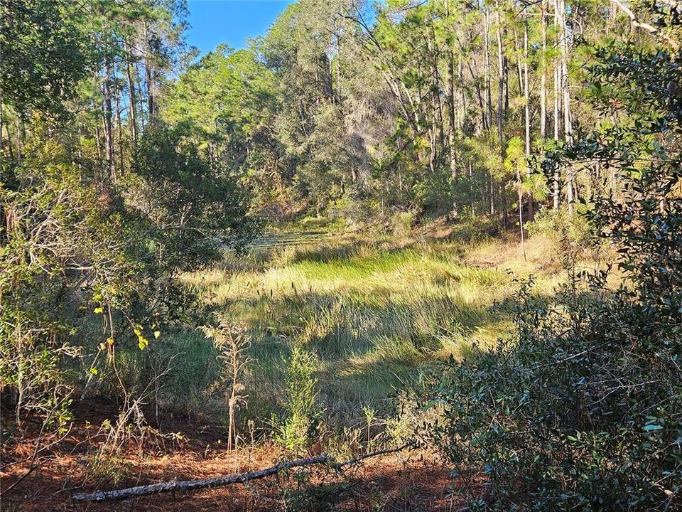 For Sale: $35,000 (0.30 acres)