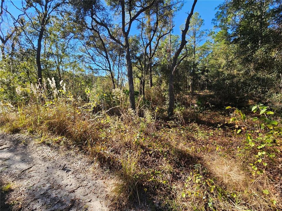 For Sale: $35,000 (0.30 acres)