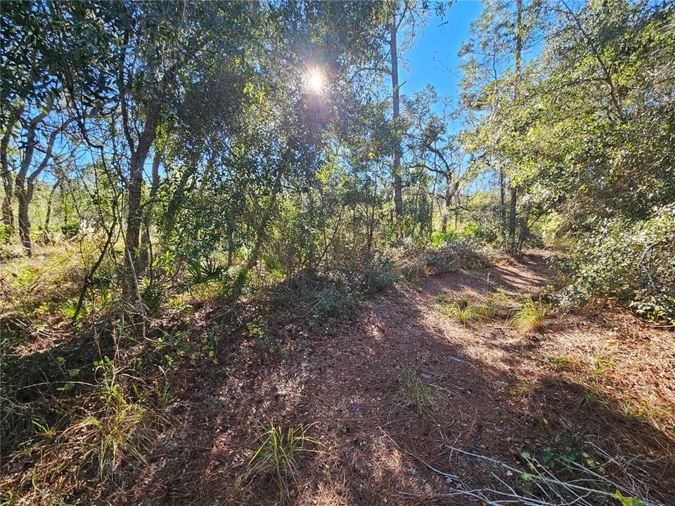 For Sale: $35,000 (0.30 acres)