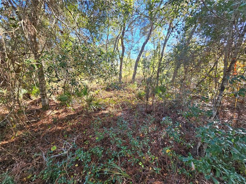 For Sale: $35,000 (0.30 acres)