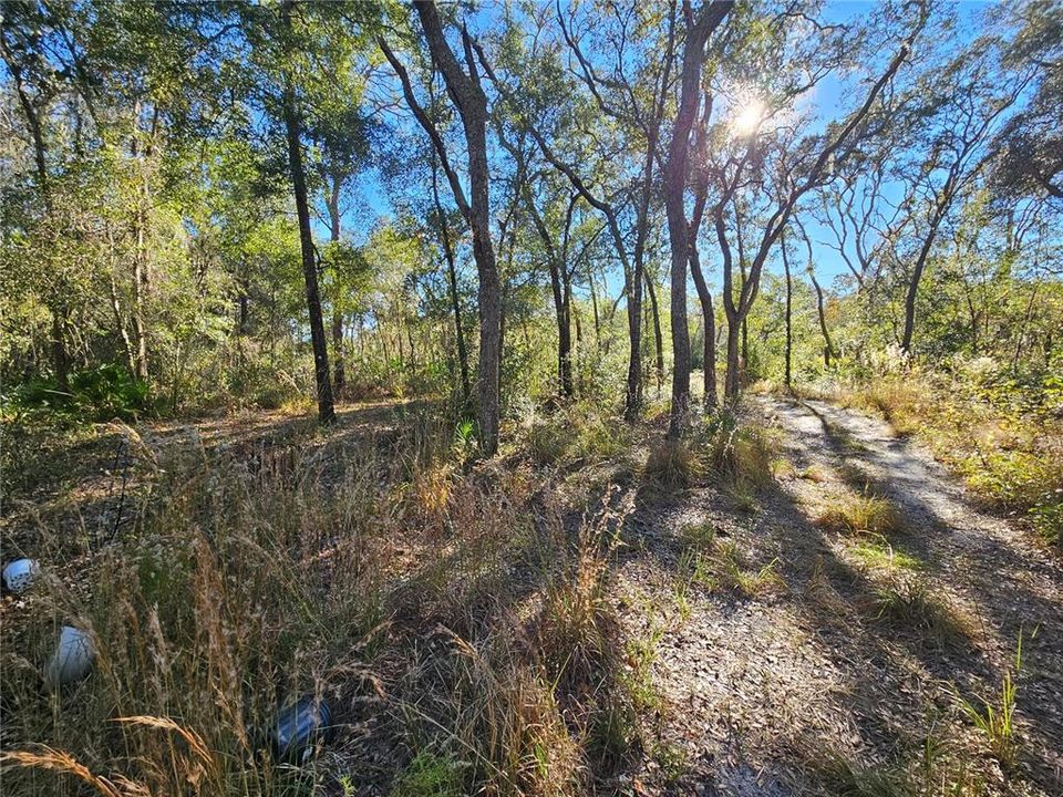 For Sale: $35,000 (0.30 acres)