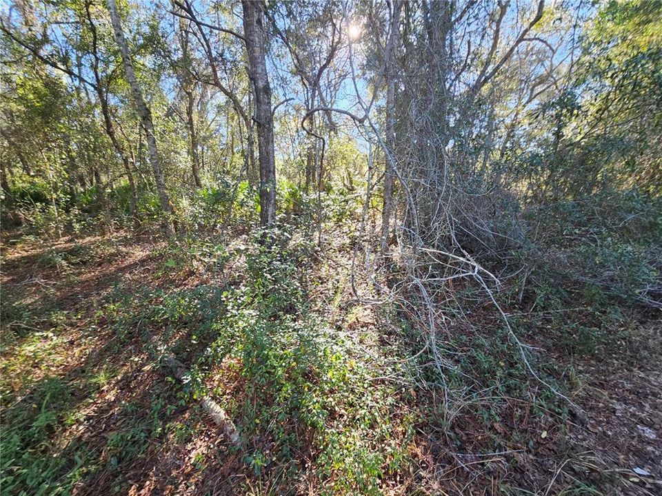 For Sale: $35,000 (0.30 acres)