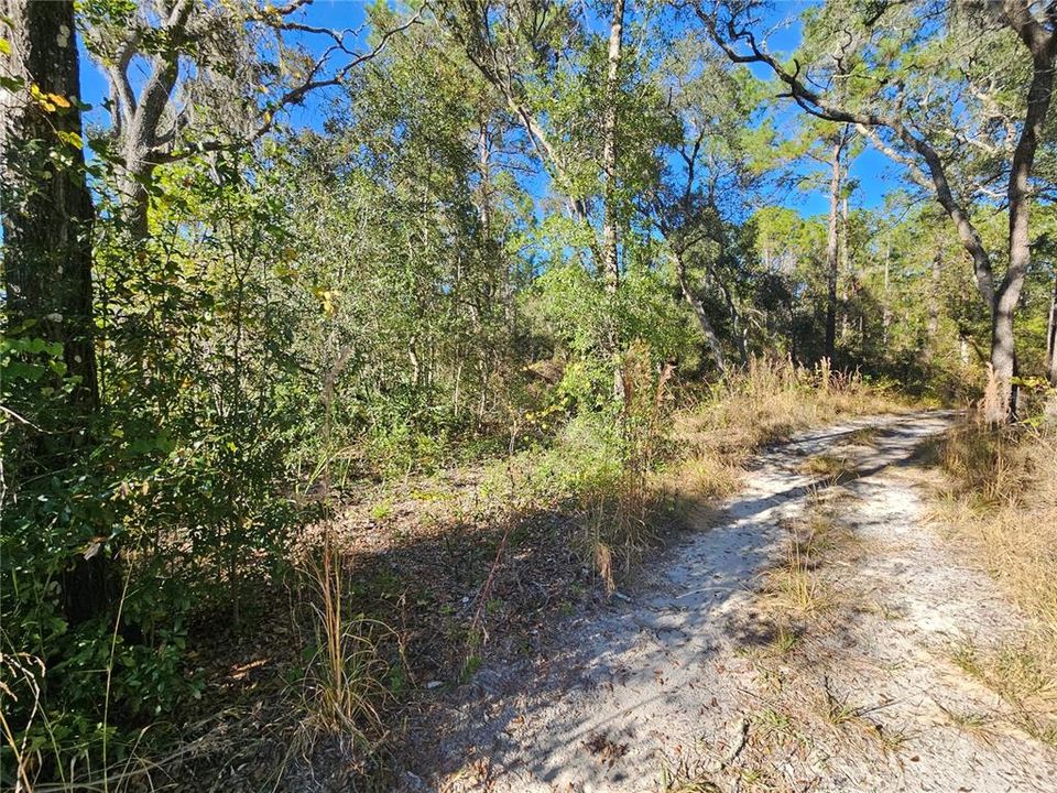 For Sale: $35,000 (0.30 acres)