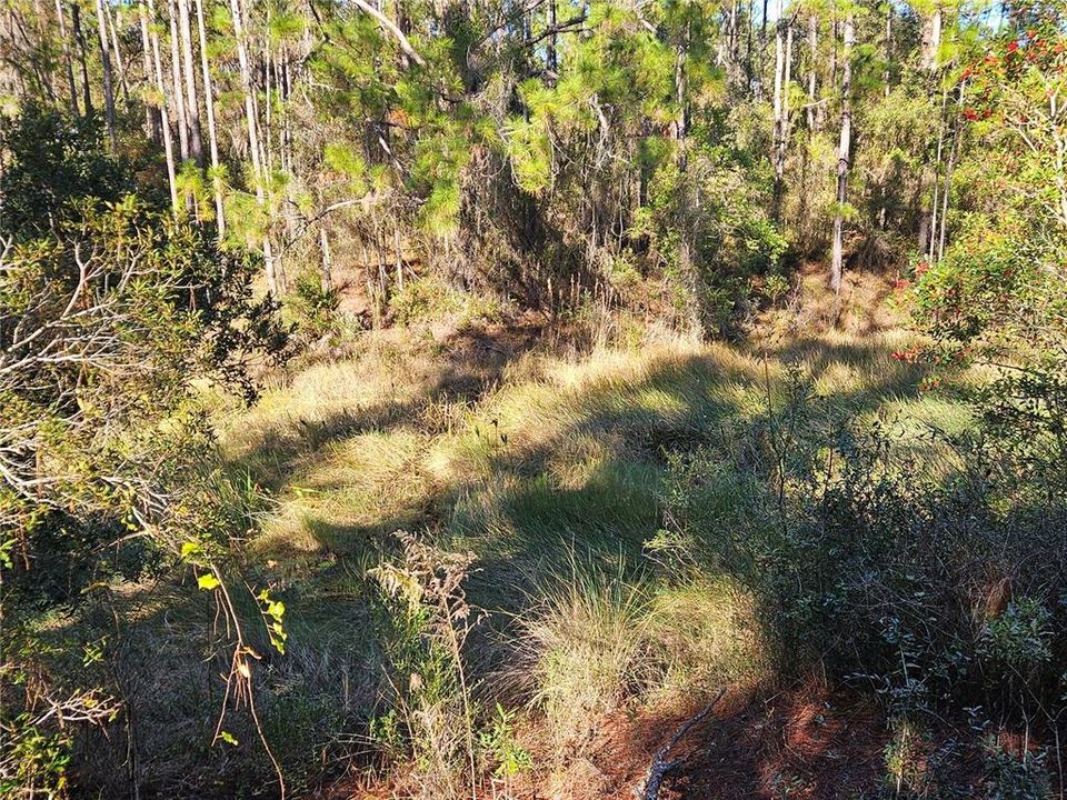 For Sale: $35,000 (0.30 acres)