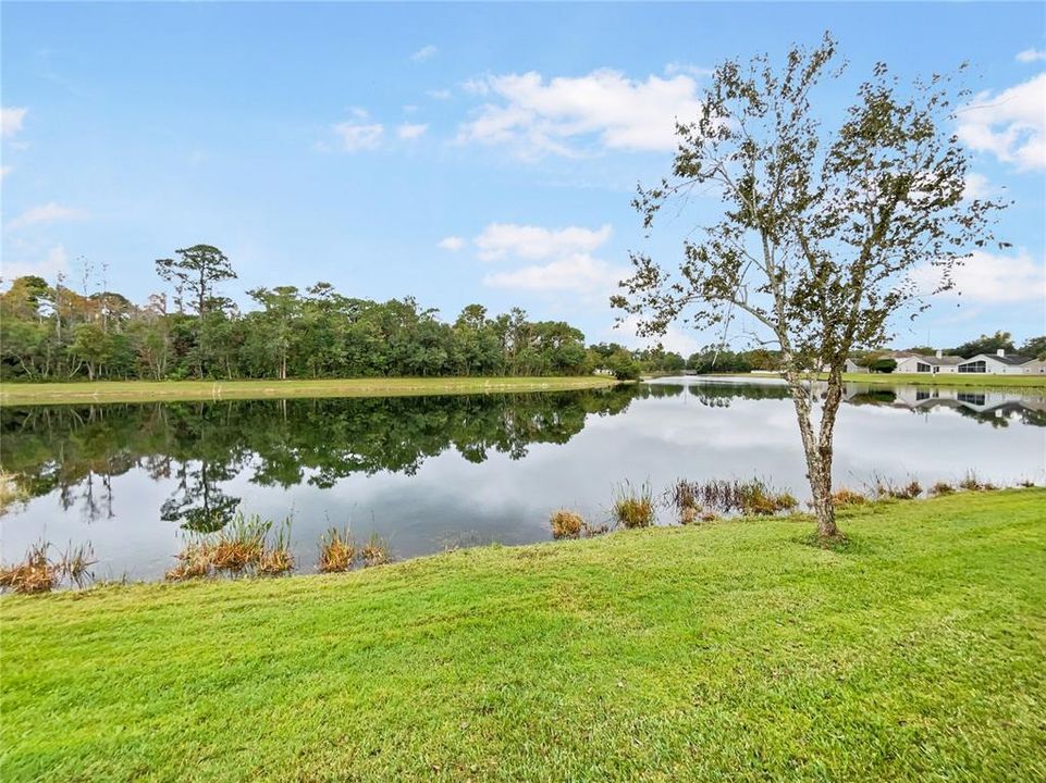 Под контрактом: $370,000 (3 спален, 2 ванн, 1427 Квадратных фут)