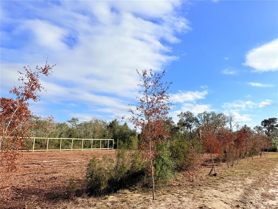 For Sale: $19,900 (0.25 acres)