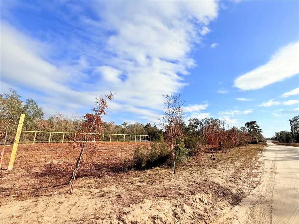 For Sale: $19,900 (0.25 acres)