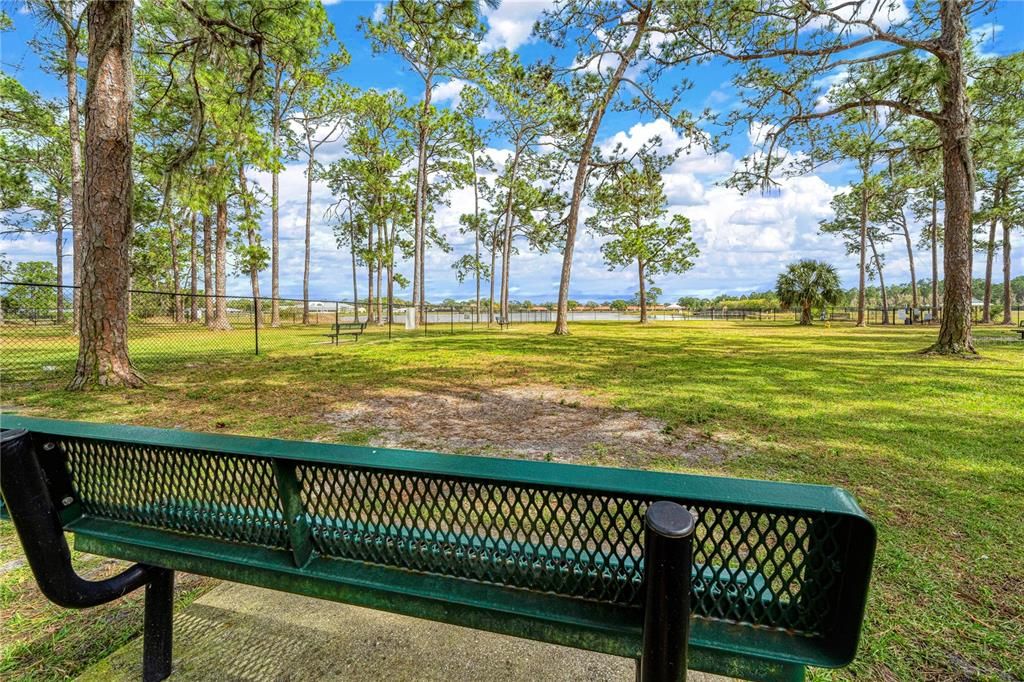 待售: $345,000 (3 贝兹, 2 浴室, 1446 平方英尺)