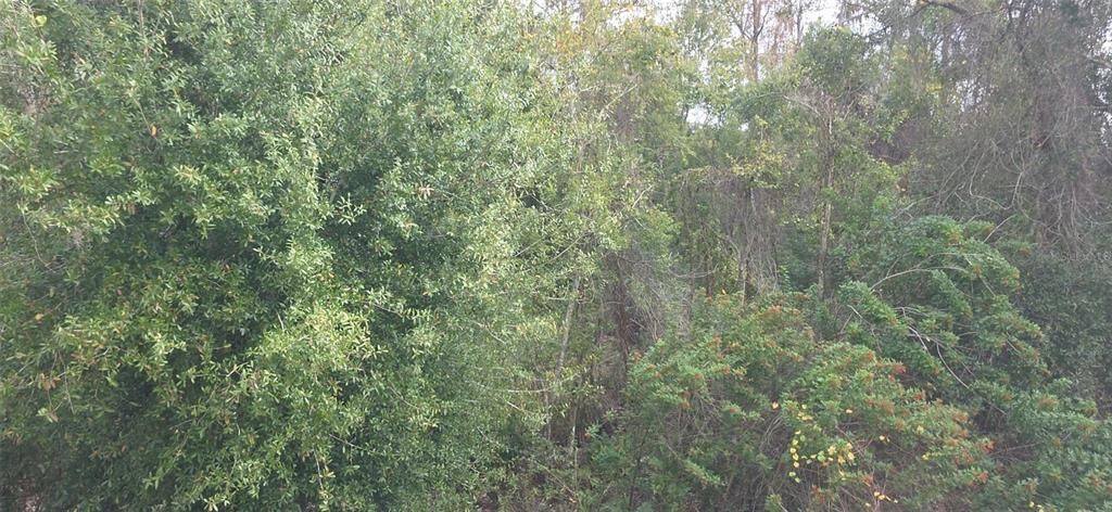 For Sale: $349,900 (3 beds, 2 baths, 1806 Square Feet)