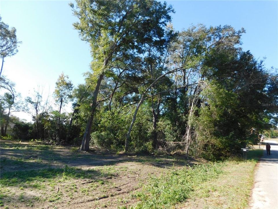 Active With Contract: $27,000 (0.24 acres)
