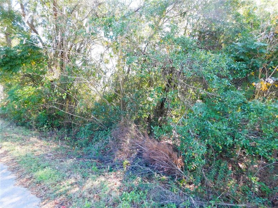 Active With Contract: $27,000 (0.24 acres)