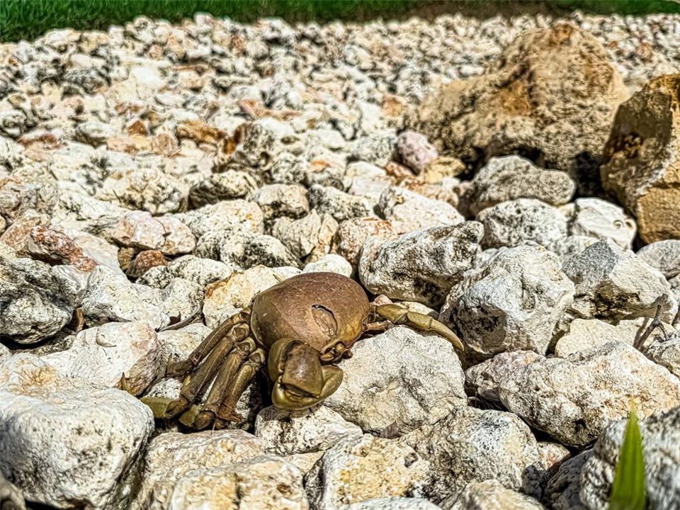 For Rent: $7,500 (4 beds, 3 baths, 4100 Square Feet)