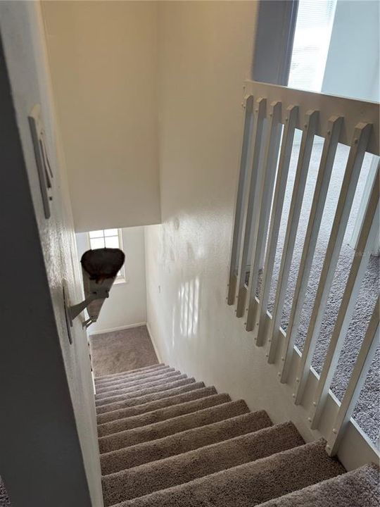 出租: $2,300 (3 贝兹, 2 浴室, 1458 平方英尺)