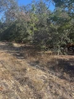 For Sale: $23,500 (0.23 acres)