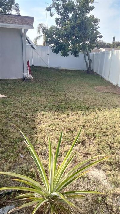 For Sale: $319,900 (2 beds, 2 baths, 1310 Square Feet)