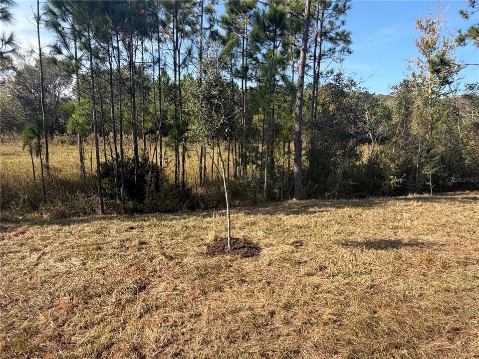 For Sale: $428,900 (4 beds, 3 baths, 2200 Square Feet)