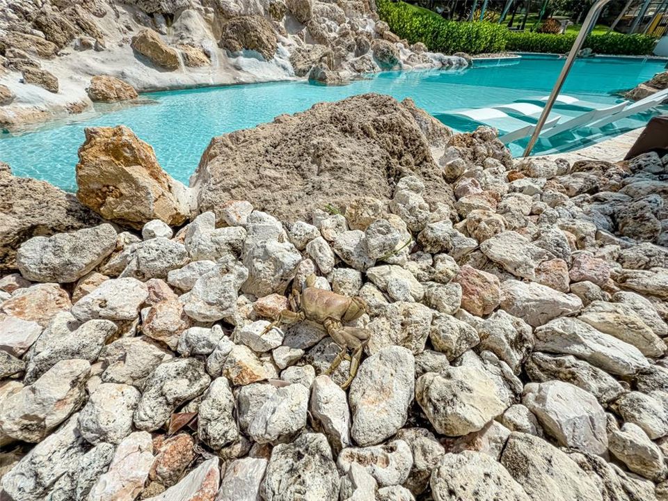 For Rent: $4,500 (3 beds, 2 baths, 2095 Square Feet)