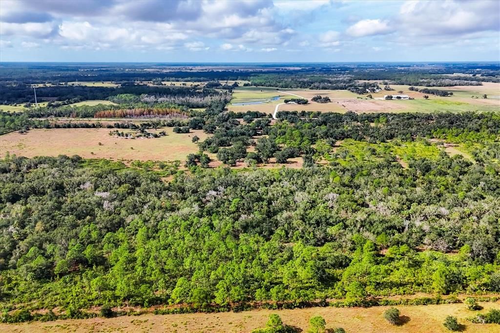 For Sale: $699,000 (45.00 acres)