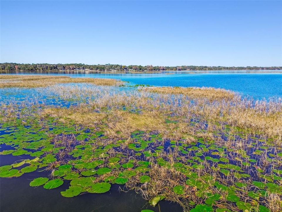 For Sale: $600,000 (3 beds, 2 baths, 2060 Square Feet)