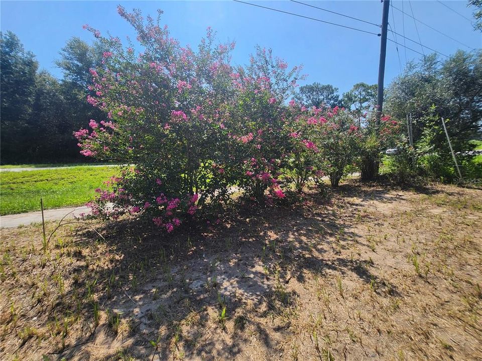 待售: $254,900 (3 贝兹, 2 浴室, 1288 平方英尺)