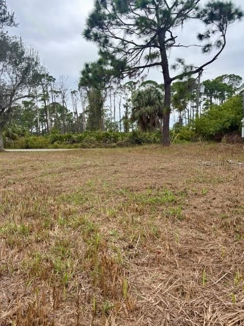 待售: $95,000 (0.23 acres)