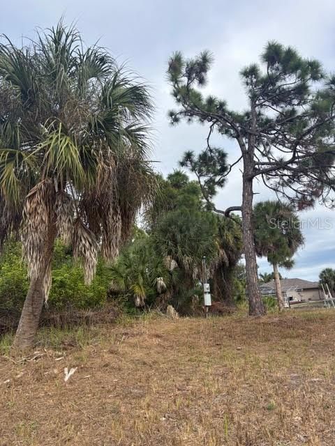 待售: $95,000 (0.23 acres)