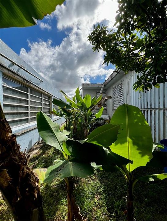 For Sale: $155,000 (3 beds, 1 baths, 1200 Square Feet)