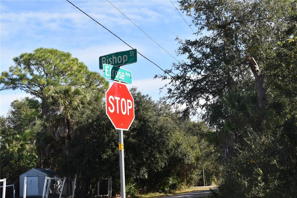 For Sale: $18,900 (0.23 acres)