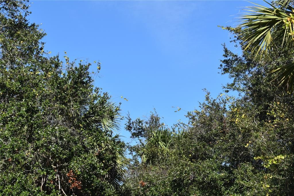 For Sale: $21,900 (0.23 acres)