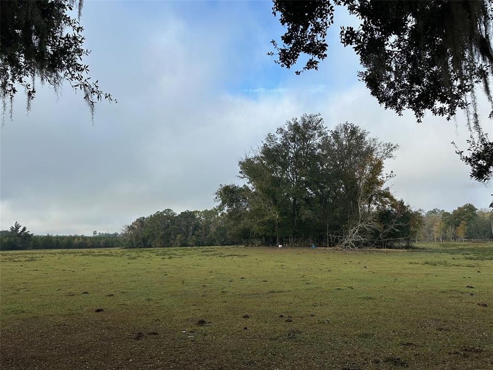 En Venta: $2,356,062 (98.60 acres)