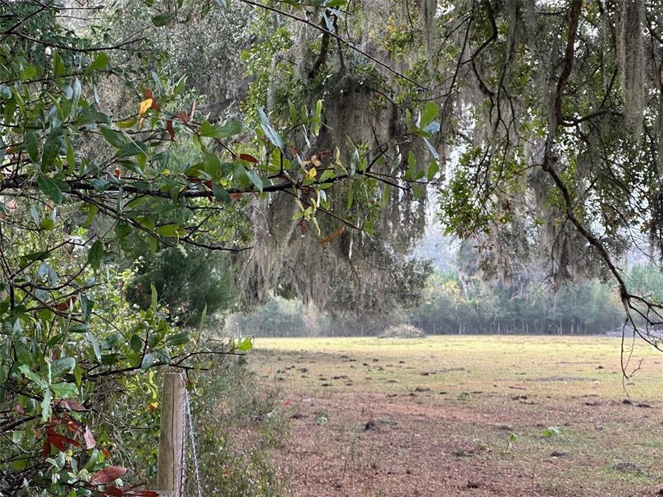 En Venta: $2,356,062 (98.60 acres)