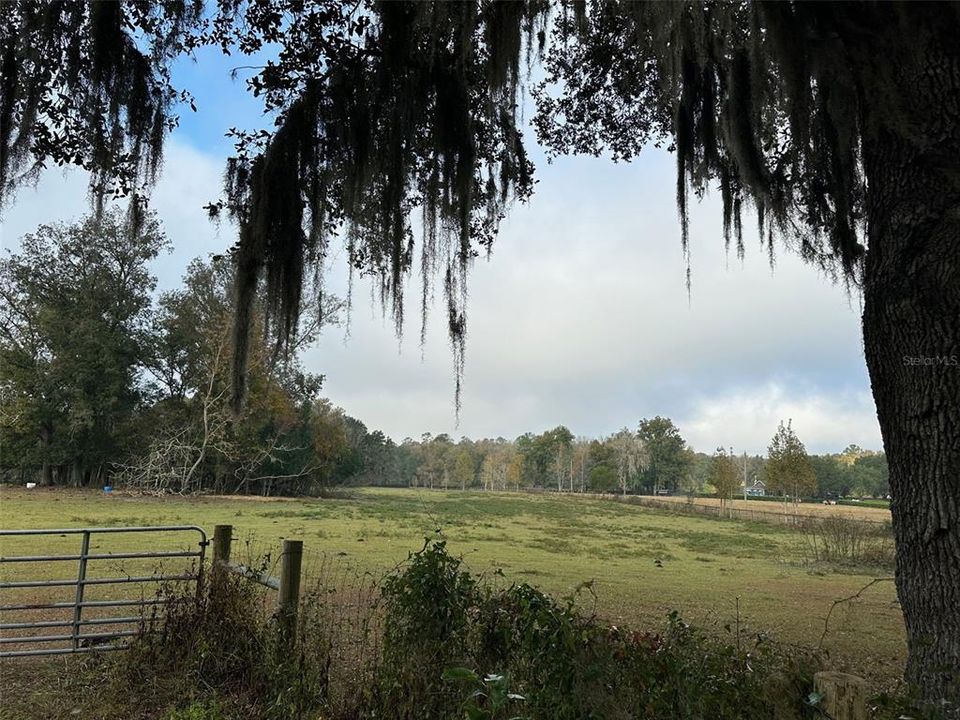 En Venta: $2,356,062 (98.60 acres)