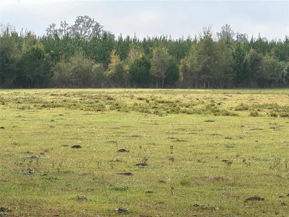 En Venta: $2,356,062 (98.60 acres)