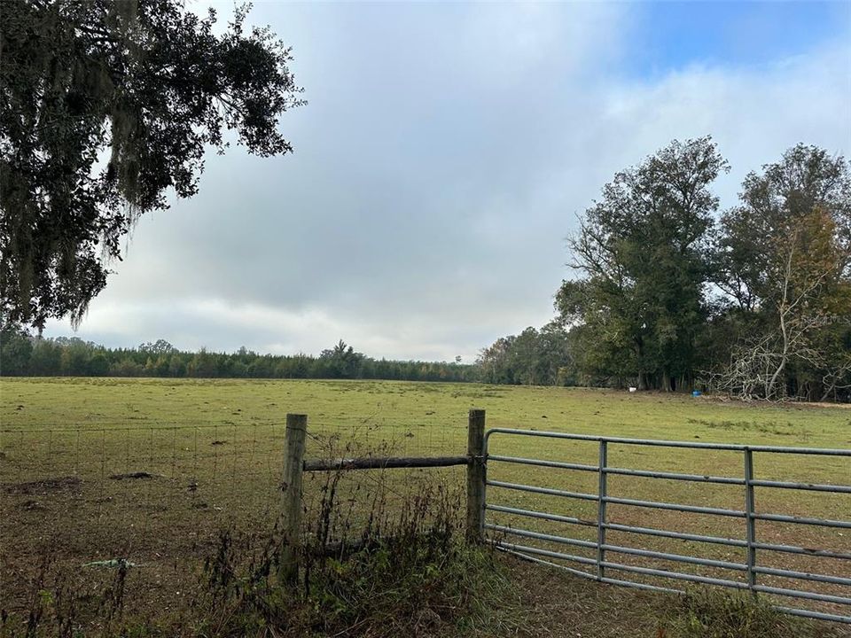 En Venta: $2,356,062 (98.60 acres)