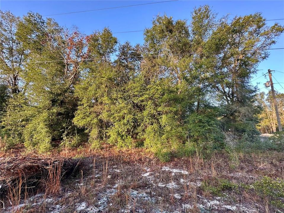 For Sale: $30,000 (0.17 acres)