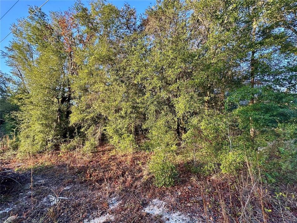 For Sale: $30,000 (0.17 acres)