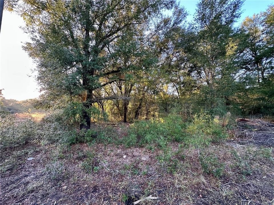 For Sale: $30,000 (0.17 acres)