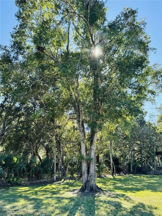 На продажу: $34,900 (0.42 acres)