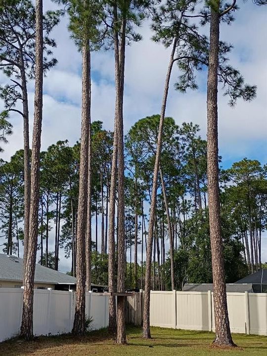 For Sale: $265,000 (3 beds, 2 baths, 1344 Square Feet)