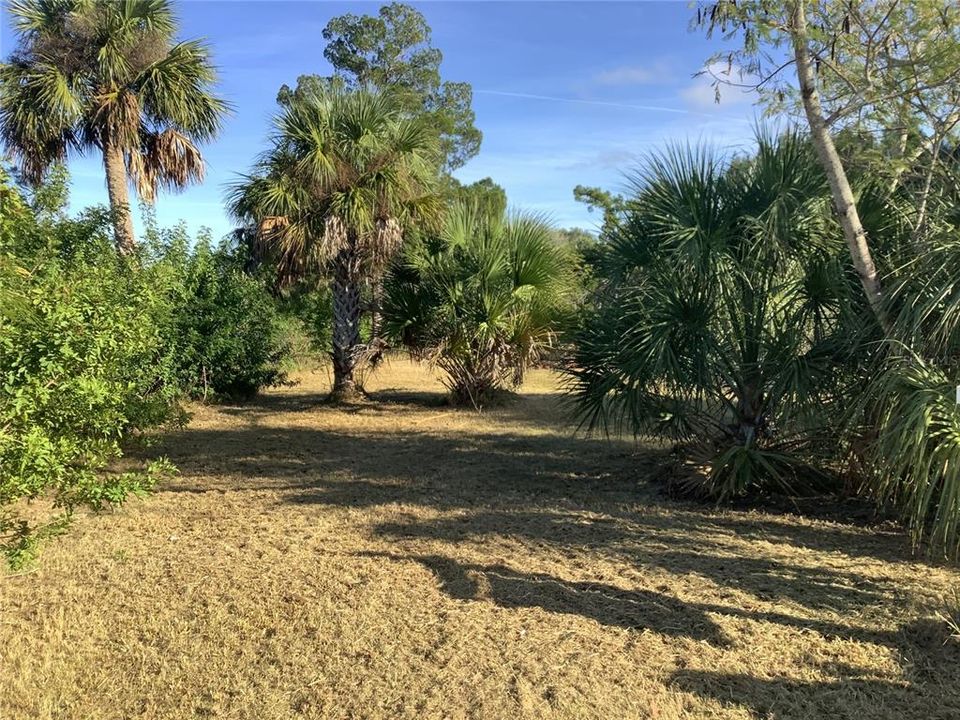 En Venta: $99,900 (0.46 acres)