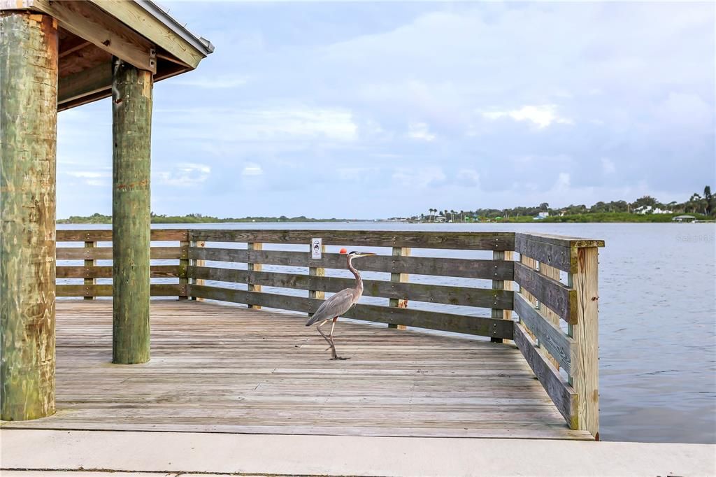 待售: $319,000 (0.42 acres)