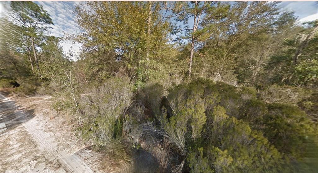 For Sale: $7,500 (0.31 acres)