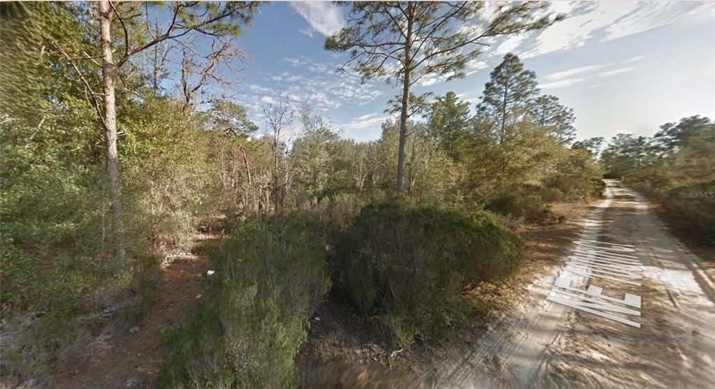 For Sale: $7,500 (0.31 acres)
